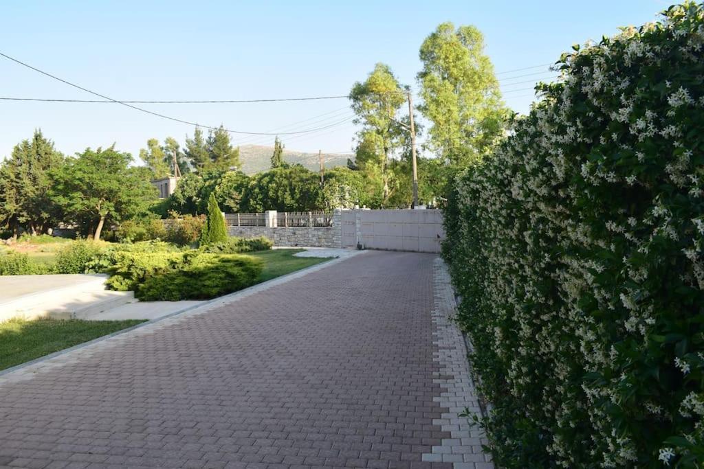 Βίλα Εύη Ligourion Exteriör bild